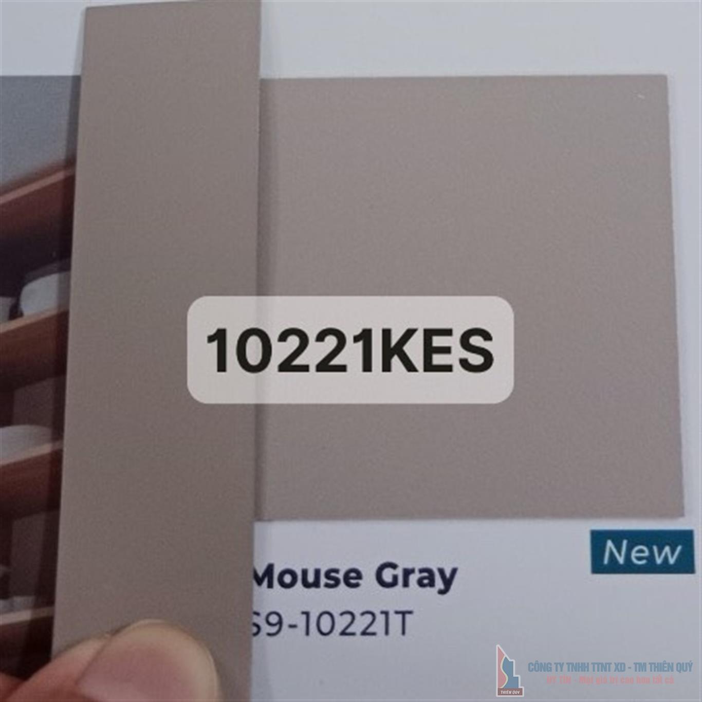 Chỉ nhựa PVC mã màu 10221KES